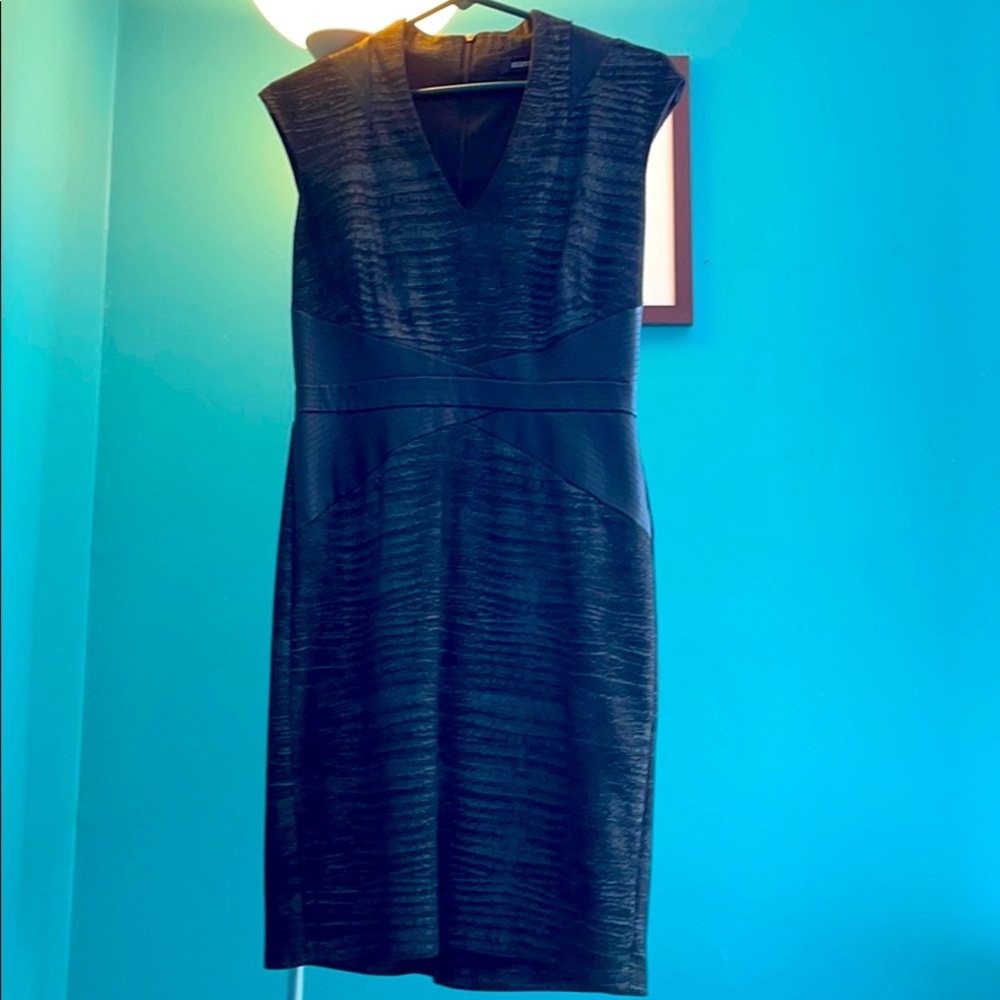 Ellen Tracy Dress